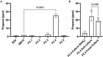 Biogenic propane production by a marine Photobacterium strain isolated from the Western English Channel